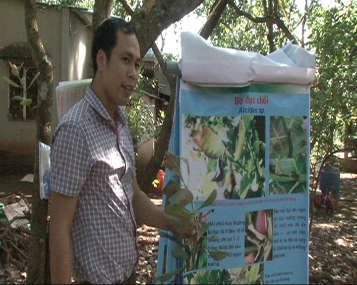 Anh Lê Viết Kiên Trưởng trạm Bảo vệ thực vật huyện hướng dẫn bà con nông dân thôn 1 xã Phú Văn kỹ thuật phòng trừ sâu bệnh trên cây điều thời kỳ ra hoa, đậu trái