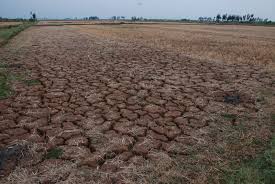 Giải pháp phòng chống hạn mùa khô 2015-2016  trên địa bàn huyện Bù Gia Mập
