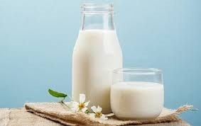 Vai trò của sữa trong chế độ ăn